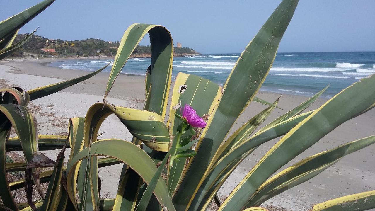 La Casetta Rosa Tertenìa Zewnętrze zdjęcie